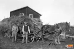 Inhyrda okända drängar, Svartvik, Norrala.
