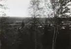 Vy över Sälens samhälle. Limedsforsen-Särna Järnväg passerar på andra sidan Västra Dalälven.