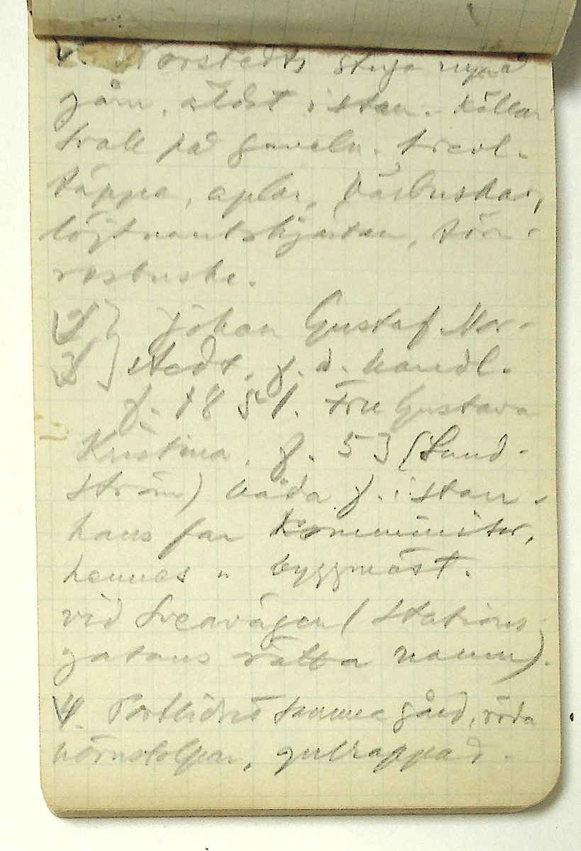 Karl-Erik Forsslund anteckningar år 1927-1929 om Hedemora stad, notisblock I. 

Opublicerat material till bokverket 'Med Dalälven från källorna till havet.'