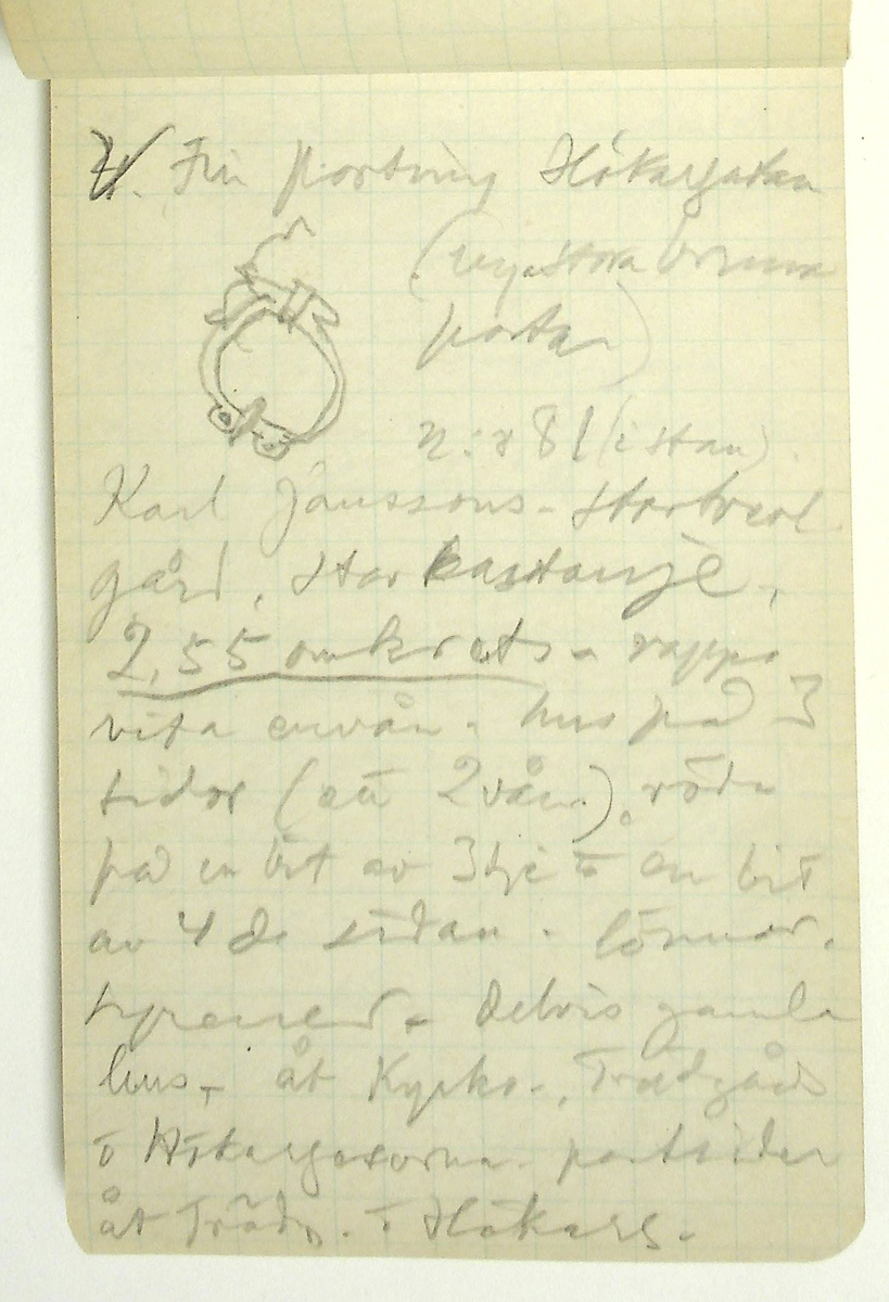 Karl-Erik Forsslund anteckningar år 1927-1929 om Hedemora stad, notisblock I. 

Opublicerat material till bokverket 'Med Dalälven från källorna till havet.'