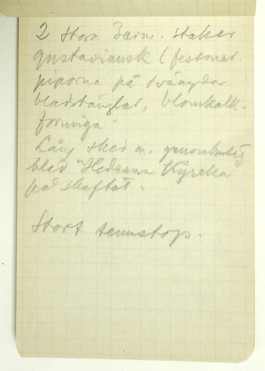 Karl-Erik Forsslund anteckningar år 1927-1929 om Hedemora stad, notisblock I. 

Opublicerat material till bokverket 'Med Dalälven från källorna till havet.'