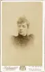 Fröken Anna Schander i mörk, höghalsad klänning med stenkolsbroderier. En brosch syns i halsgropen.
Bröstbild, halvprofil. Ateljéfoto.

Anna Schander, dotter t. fabrikören m.m. Carl Schander, Växjö. Gift 1895 med godsägaren m.m. Johannes Nilsson, Gårdsby.