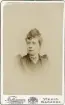 Fröken Anna Schander i mörk, höghalsad dräkt med vit blus. I halsgropen syns ett s.k. halslås av silver (allmogesmycke). 
Bröstbild, halvprofil. Ateljéfoto.
På baksidan dedikation (trol. t. Johannes Nilsson).

Anna Schander, dotter t. fabrikören m.m. Carl Schander, Växjö. Gift 1895 med godsägaren m.m. Johannes Nilsson, Gårdsby.
