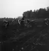 Potatisplockning 1942. 
Några unga kvinnor plockar upp potatis på en åker. I bakgrunden
skymtar några bostadshus.