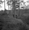 Orientering 1942. 
Några barn springer iväg längs en stig i en blåbärsskog.