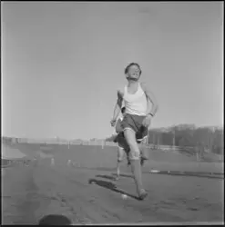 Triangelkameratene trener på Lerkendal