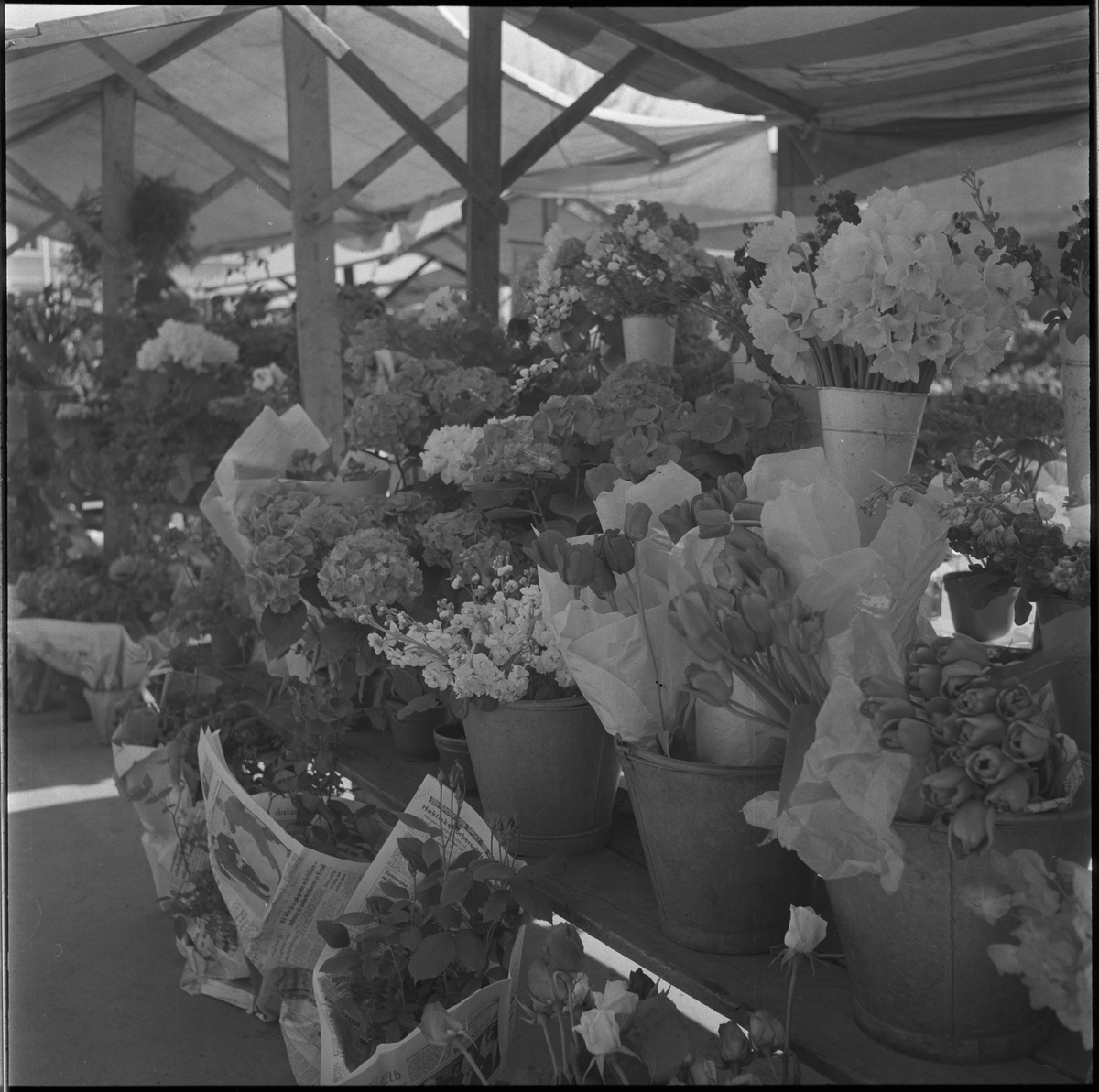 Blomster på torget i Trondheim