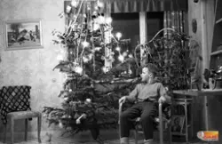 Björn Kvick / Morgan Kvick studerar nyklädd julgran inför fi