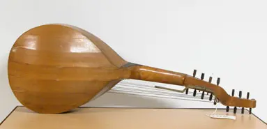 Svensk luta med välvd botten och 15 sensträngar (8 melodisträngar och 7 bassträngar). Ljudhålet är runt, med en enkel rosett. Karvade dekorationer runt ljudhål, vid stallet och längs kroppens kant. Metallförstärkning vid övergången mellan hals och kropp.

Vid stallet är tonhöjden för var sträng utskrivet: A H C D [E] F G A H C D E A C E.

De teorberade bassträngarna har en klaff för att ändra tonhöjd under spel.