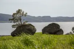 Klunghaugbakken - feltdokumentasjon av skålgroper. Jelsa/Gje