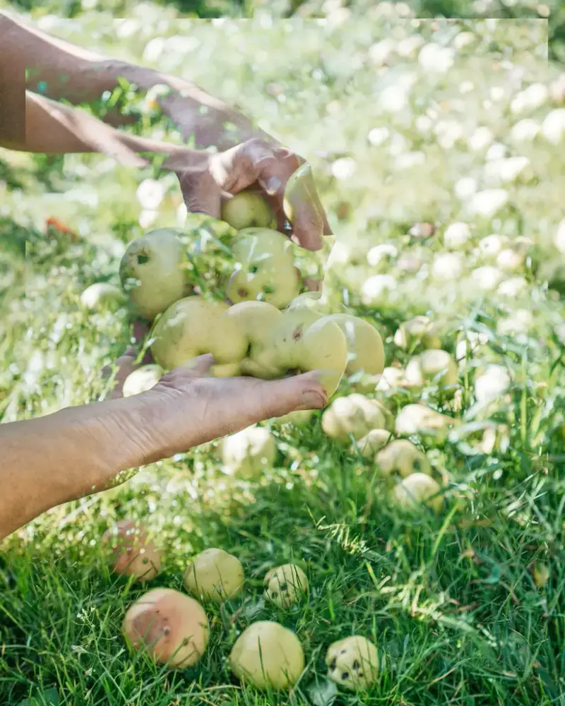 Open up your Eyes, et verk i utstillingen Regarding the Pain of the Future av Hilde Honerud.