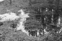 Ringebu. Vårløsning.