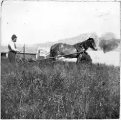 Hans Boldfjord på slått, Borgfjord, Vallersund