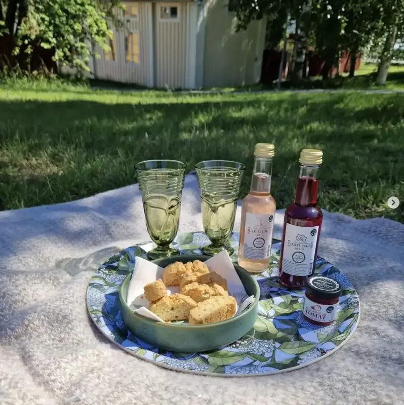 Picknickbricka på gröngräset en sommardag
