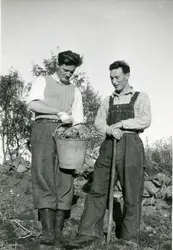 To menn studerer fangsten etter å ha vært på måseeggsanking