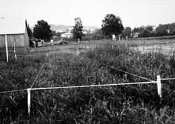 Åker med driftsbygning, trær og andre gårder i bakgrunnen. D