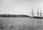 Stugsunds hamn.