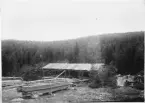 Husbehovssåg, Stafsättraskogen, Jerfsö socken (Järvsö). Fotografens namn är otydligt skrivet på baksidan. Bosatt i Ljusdal. Publicerad i Turistföreningens årsskrift 1909.