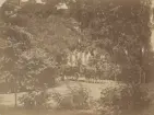 Häst och vagn vid Gysinge Bruk. Ur album för Gysinge Bruk 1878.