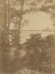 Gysinge. Utsikt från brsån på Granön. Ur album för Gysinge Bruk 1878.