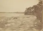 Vy från Gysinge. Dalälven. Ur album för Gysinge Bruk 1878.