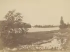 Vy från Gysinge. Dalälven. Ur album för Gysinge Bruk 1878.
