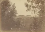 Vy från Gysinge. Hadeholm vid Dalälven. Ur album för Gysinge Bruk 1878.