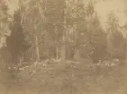Vy från Gysinge. Gravfälten vid Hadeholm. Ur album för Gysinge Bruk 1878.