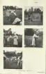 Skansen. Arbetsliv.  Linberedning. Skansen 1942.