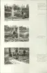 Skansen. Arbetsliv. Kolning. Bildserie visandes milans resande, påtändning och släckning. Se: NMA.0207413 - NMA.0207434