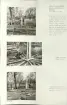 Skansen. Arbetsliv. Kolning. Bildserie visandes milans resande, påtändning och släckning. Se: NMA.0207413 - NMA.0207434