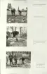 Skansen. Arbetsliv.  Kolning. Bildserie visandes milans resande, påtändning och släckning. Se: NMA.0207413 - NMA.0207434