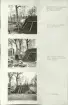 Skansen. Arbetsliv.  Kolning. Bildserie visandes milans resande, påtändning och släckning. Se: NMA.0207413 - NMA.0207434