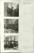 Skansen. Arbetsliv.  Kolning. Bildserie visandes milans resande, påtändning och släckning. Se: NMA.0207413 - NMA.0207434
