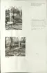 Skansen. Arbetsliv.  Kolning. Bildserie visandes milans resande, påtändning och släckning. Se: NMA.0207413 - NMA.0207434