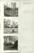 Skansen. Arbetsliv.  Kolning. Bildserie visandes milans resande, påtändning och släckning. Se: NMA.0207413 - NMA.0207434