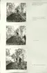 Skansen. Arbetsliv.  Kolning. Bildserie visandes milans resande, påtändning och släckning. Se: NMA.0207413 - NMA.0207434