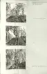 Skansen. Arbetsliv.  Kolning. Bildserie visandes milans resande, påtändning och släckning. Se: NMA.0207413 - NMA.0207434