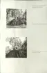 Skansen. Arbetsliv.  Kolning. Bildserie visandes milans resande, påtändning och släckning. Se: NMA.0207413 - NMA.0207434
