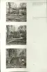 Skansen. Arbetsliv.  Kolning. Bildserie visandes milans resande, påtändning och släckning. Se: NMA.0207413 - NMA.0207434