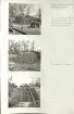 Skansen. Arbetsliv.  Kolning. Bildserie visandes milans resande, påtändning och släckning. Se: NMA.0207413 - NMA.0207434