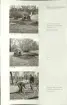 Skansen. Arbetsliv.  Kolning. Bildserie visandes milans resande, påtändning och släckning. Se: NMA.0207413 - NMA.0207434