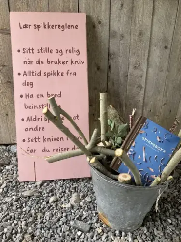 Plakat med spikkeregler