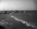Vågor som rullar in mot strand, vid en hamn - troligen strax norr om Gränna hamn.