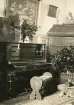 Interiör inifrån borgmästarvillan i Sölvesborg, som idag huserar Hotell Humbla, uppfördes 1903 av borgmästare Philibert Humbla (1863-1925). Far till Philibert Humbla, museiman och svensk konsthistoriker (1896-1952) som 1940 blev förste chef vid Gävle museum (källa Wikipedia).