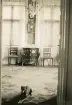 Interiör inifrån borgmästarvillan i Sölvesborg, som idag huserar Hotell Humbla, uppfördes 1903 av borgmästare Philibert Humbla (1863-1925). Far till Philibert Humbla, museiman och svensk konsthistoriker (1896-1952) som 1940 blev förste chef vid Gävle museum (källa Wikipedia).