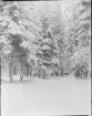 Snölandskap, Uppland