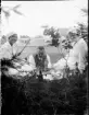 Picknick i det gröna, Uppland