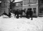 Kvinna matar hästen utanför Nackanäs Värdshus, Stockholm