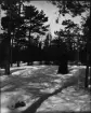 Kvinna står i snö, Uppland